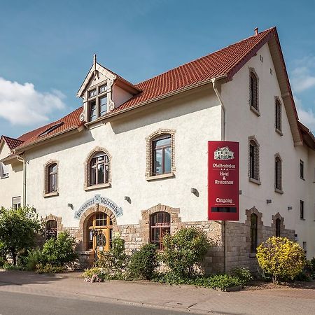 Hotel Pfaffenhofen Schwabenheim an der Selz Bagian luar foto